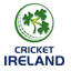 تیم زیر سن ۱۹ سالان ایرلند logo